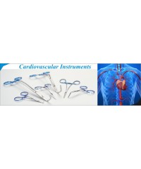 Cardiovascular Instruments 