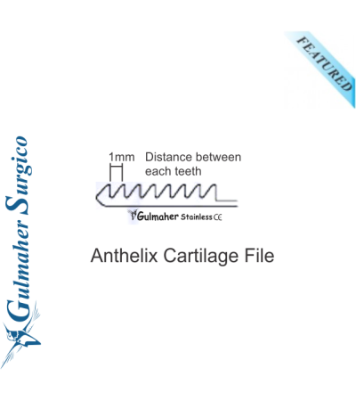 Anthelix Cartilage File for Auricular Plastic 16cm