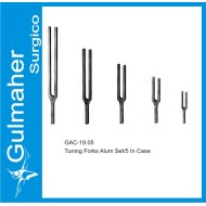 Tuning Forks Alum Set/5 In Case