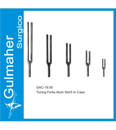 Tuning Forks Alum Set/5 In Case