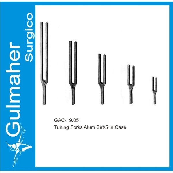 Tuning Forks Alum Set/5 In Case