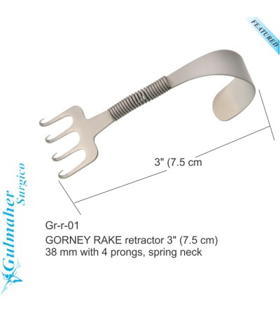 Gorney Facelift Rake Retractor 4 Prong