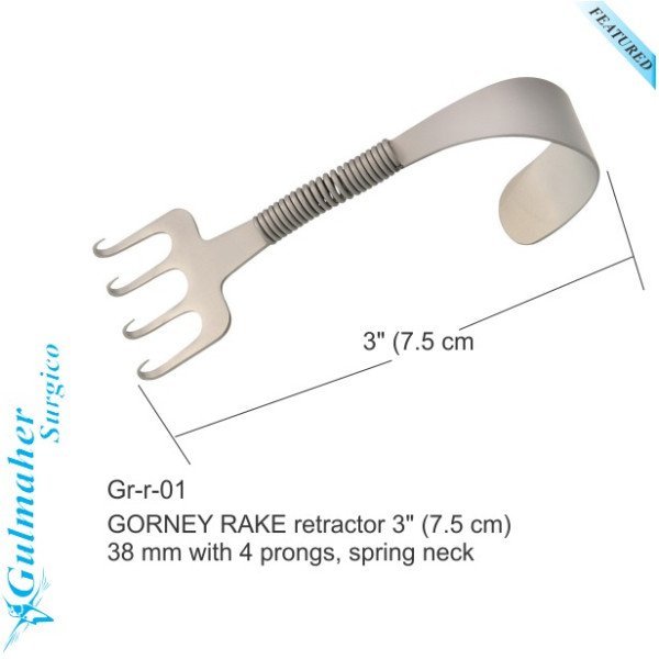 Gorney Facelift Rake Retractor 4 Prong