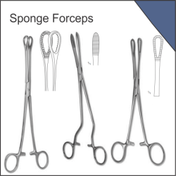 Sponge Forceps