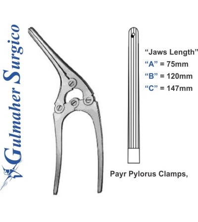 Payr Pylorus Clamps