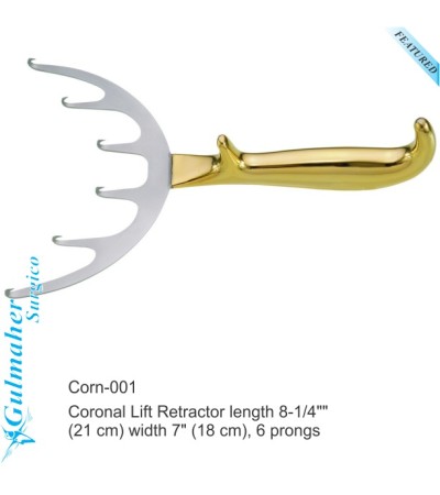 Coronal Lift Retractor, 6-Offset Sharp Prongs 