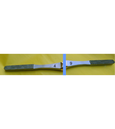 Gubisch Fomon Rasp, With T.C 20cm Double End.