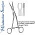 Dingman Bone Holding  Forceps, 19cm