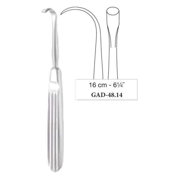Daniel-Gubisch Raspatory, Hook Tip, 16 cm - 6-1/4˝ Daniel-Gubisch Raspatory, Hook Tip, 16 cm - 6-1/4˝