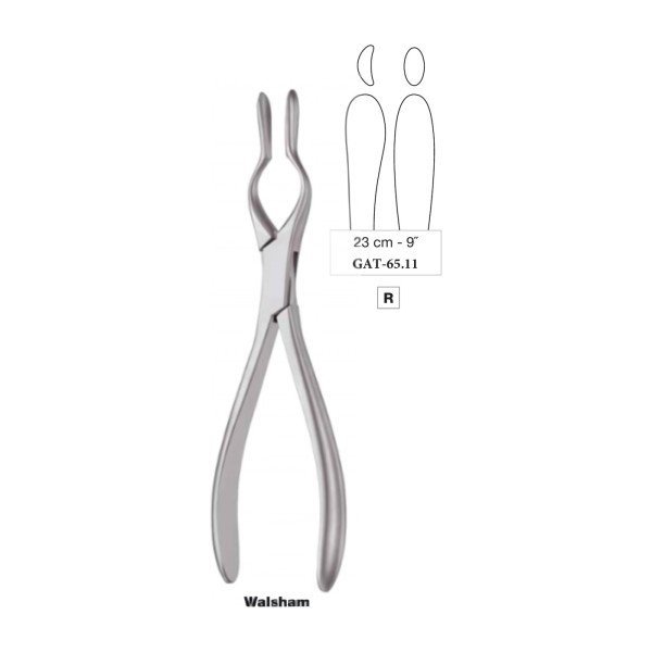 Walsham Nasal Septum Forceps 23 cm - 9˝, Right