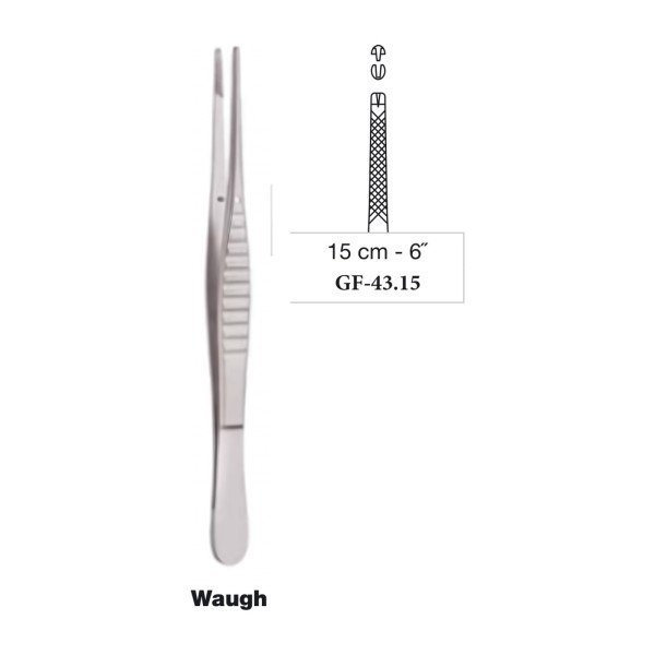 Waugh Tissue Forceps 15 cm - 6˝